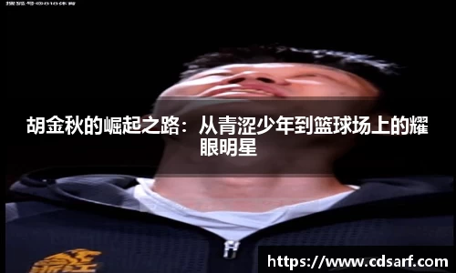 彩神VI首页