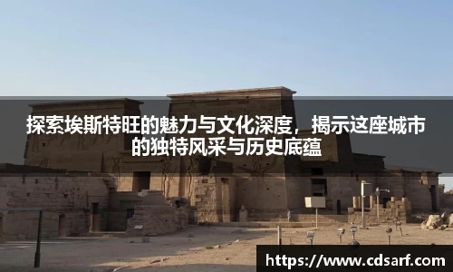 彩神彩票vIII