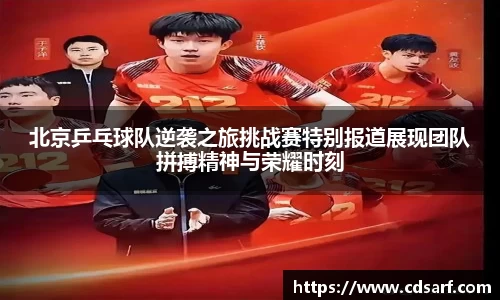 彩神彩票vIII